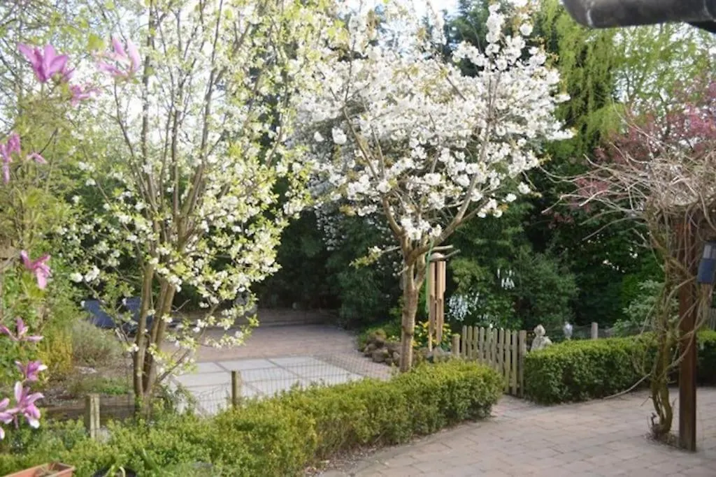 Holiday home Balistyle Guesthouse Incl Jacuzzi Near Amsterdam And Schiphol Vijfhuizen